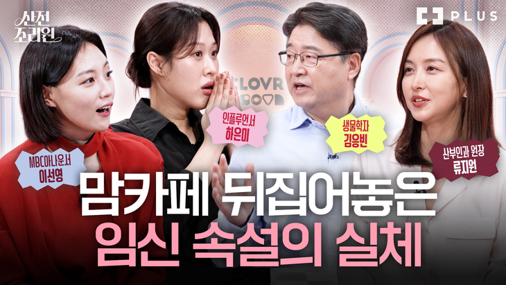 한화손보