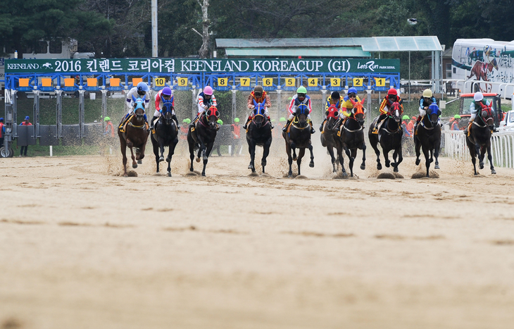사진=한국마사회