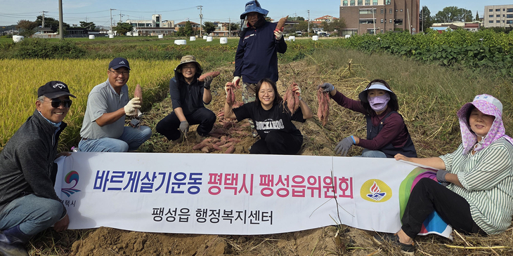 바르게살기운동 평택시 팽성읍위원회 회원들이 지난 1일 팽성읍 두정리 66-19 일원에서 직접 재배한 고구마를 수확했다. 제공=평택시