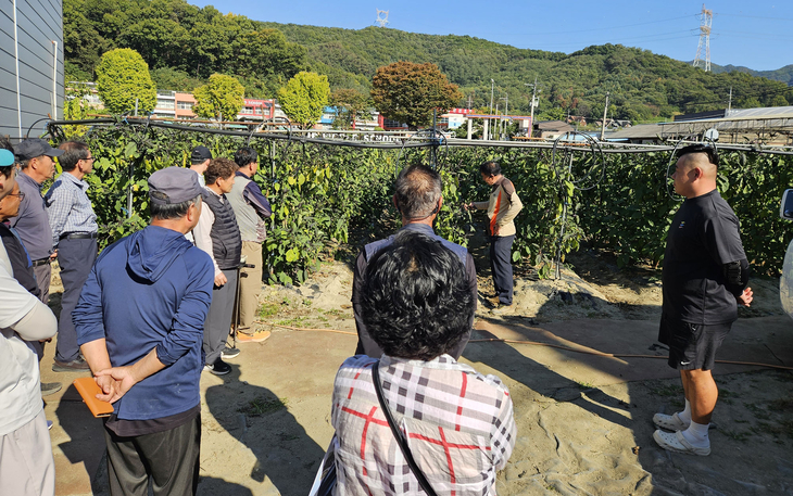 광주시가 8일 곤지암 실증 재배 농가에서 곤지암 가지 연구회원들을 대상으로 가지 신품종 '넘버원'의 생육 상태를 점검하며 현장 기술 자문을 진행
