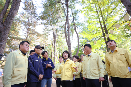 추미애 경기도지사, 소나무재선충병 확산 막기 현장행보