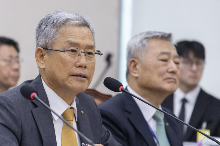 국감 질의에 답하는 김동철 한국전력 사장
