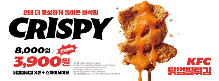 KFC '닭껍질튀김' 재출시…중량 2배 늘려 한정 판매