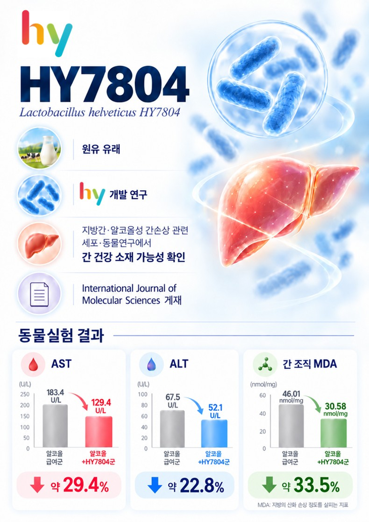 hy가 자체 프로바이오틱스 'HY7804'의 알코올성 간손상 완화 가능성을 확인한 연구를 국제학술지 'IJMS'에 실었다.