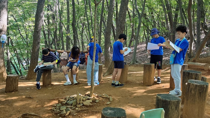 성남시 초등학교 5학년 대상 환경교육 프로그램 '신기한 숲 체험'에 참여한 학생들이 숲속에서 자연 관찰 활동을 하고 있다. 제공=성남시