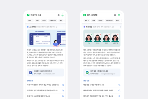 네이버 AI 브리핑. 사진=네이버 제공