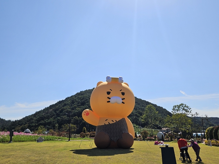 화순 고인돌 가을꽃 축제 개막…열흘간 꽃향연