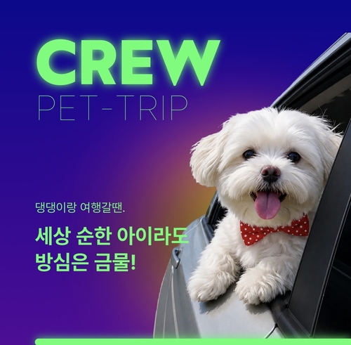 롯데손보