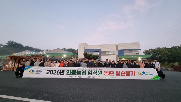안동농협, 생강 수확철 농촌일손돕기 나서