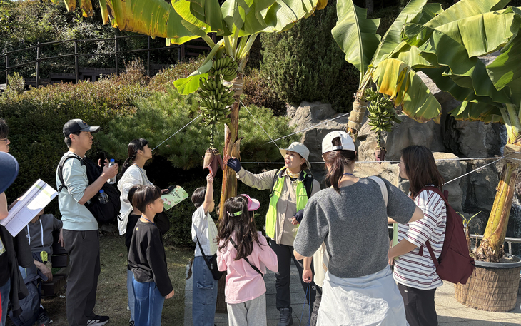 17일 용인농촌테마파크에서 열린 '2026년 생물다양성 탐사'에 참가한 가족들이 전문 강사의 설명을 들으며 바나나나무와 열매를 관찰하고 있다. 제공