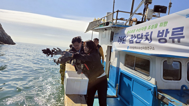 인천시 수산자원연구소 관계자들이 20일 옹진군 자월면 대이작 해역에서 어린 참담치를 방류하고 있다. 제공=인천시