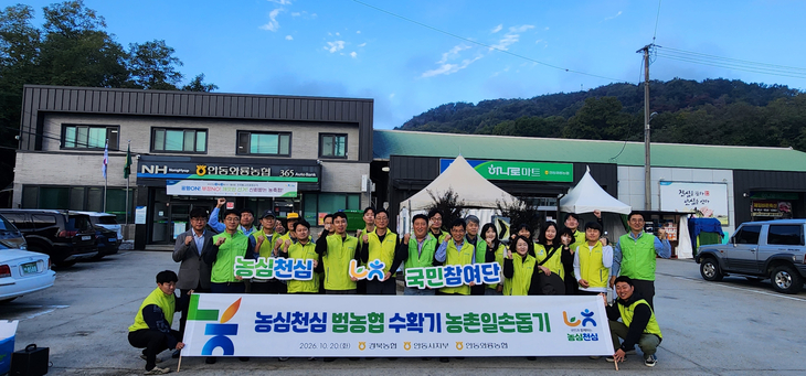 경북농협, 안동 와룡면 고령농가 생강 수확 일손돕기