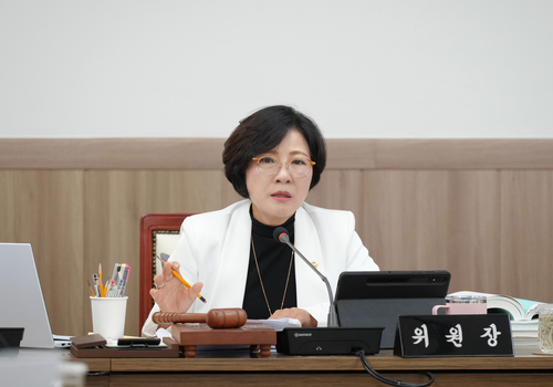 정혜영 하남시의회 의원