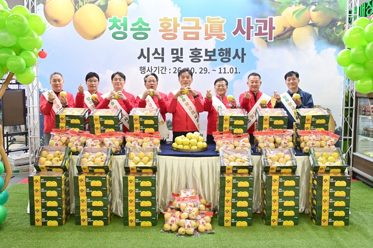 청송 황금사과 '황금진', 서울 소비자 입맛 사로잡았다