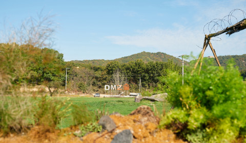 파주 민간인통제구역 안 DMZ숲 전경. 녹슨 철조망 너머로 'DMZ숲' 조형물과 잔디 정원, 숲이 펼쳐져 있다