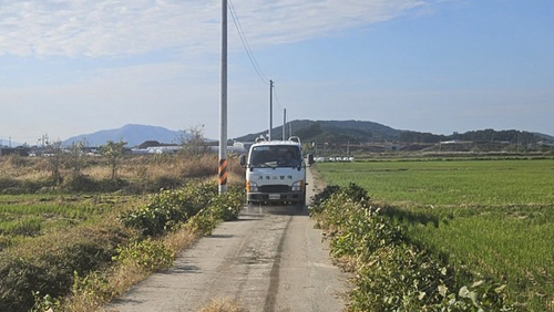 김포시 하성면 고병원성 조류독감(AI) 방역 활동