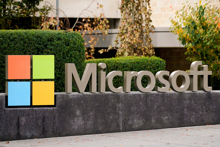 MICROSOFT-BUYOUTS/