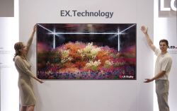 LG디스플레이, IFA 2022서 OLED 기술력 공개