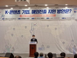 "K-콘텐츠 글로벌 진출 지원 위해 해외법령 검색 플랫폼 구축해야"