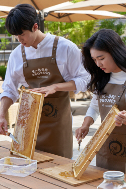 KB금융, 여의도 본점 옥상 도시양봉장서 첫번째 꿀 수확