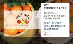 고물가가 바꾼 소비트렌드…‘못난이 마케팅’ 전성시대