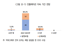 보험사 CEO들 "인플레-금리 급등으로 경기침체 가능성 커"