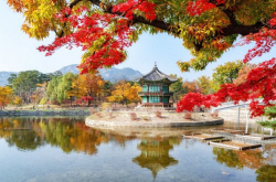 [주말E] “단풍 명소 가고 싶은데 등산은 싫다면?”...산행없이 가볼만한 가을 여행지 3곳