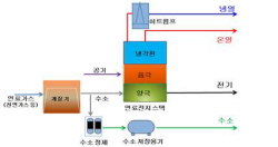 차세대 연료전지 선도국 한국에서 국제표준화 전략 도출한다