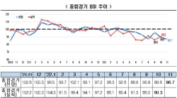 11월 기업 경기전망 25개월만에 최저…제조·비제조 동반부진