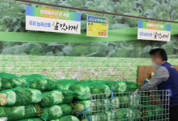 김장재료 가격 배추·무 ‘안정’, 양념류 ‘상승’