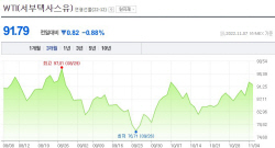 [국제유가] 中 원유 수요 전망 엇갈리며 하락...WTI 0.88%↓