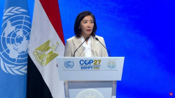 나경원 특사, COP27 특별연설서 "개발도상국 효과적 기후행동 지원에 적극 협력"