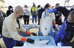 일본 "후쿠시마 오염수 방류 문제없다" 주장에…IAEA, 직접 검증 나선다