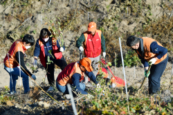 SK이노, 식수 활동에 팔 걷었다…‘SK 울산 행복의 숲’ 조성