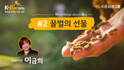 KB금융, 도시 양봉 중요성 알린다…