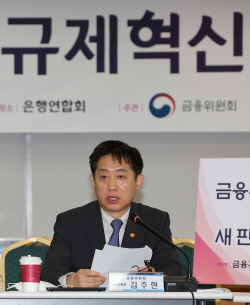 금산분리 제도 개선안 내년초 윤곽…보험사, 특화보험 자회사 설립 가능