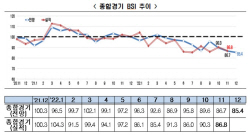 "12월 기업경기전망치 26개월만 최저치"