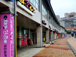 세종시 규제완화에도 매매·전세가격 전국 최대 동반하락