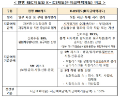 내년 보험사 신지급여력제도 시행...금감원 현장점검