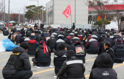 [속보] 화물연대 현장 복귀…"투표 결과, 파업 종료 결정"