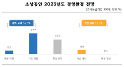 소상공인 56% "내년 경영환경 더 나쁠 것"