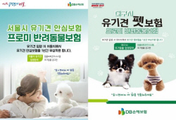DB손보, 유기견 안심보험 지원 사업 참여