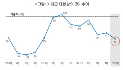 "내년 1분기 기업 체감경기 ‘74’…코로나19 팬데믹 수준으로 하락"