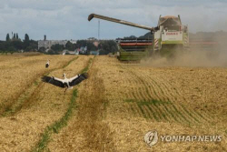 러-우크라 전쟁 장기화, "세계 곡물 가격 올해도 높은 변동성"