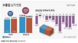 우리나라가 최대 무역흑자 올린 나라는 베트남…작년 수지 342억달러