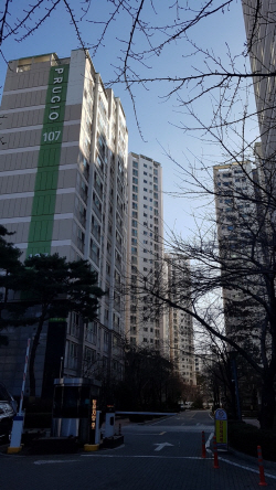 [규제지역 그 옆 上] 지역적 강점 "의미 없어"…강동·동작구 ‘거래절벽’ 여전