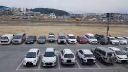 5대 손보사, 내달 말부터 車보험료 인하