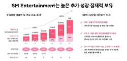 이수만 끊어내면 매출 1.2조? SM "라이크기획·드림메이커 탈피"