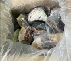 일본 사는 자녀 용돈인줄 알았는데...4.6t 어묵 진짜 정체는
