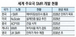 [에너지시장 게임체인저 SMR] 미국·한국 등 세계 주요국, SMR 우위 선점에 